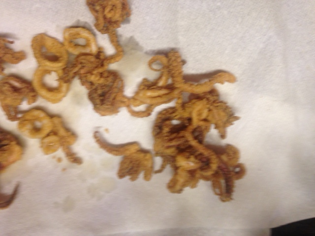 calamari 2
