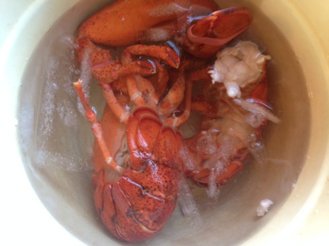 chicken fried lobster 3